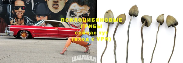 МДПВ Алзамай