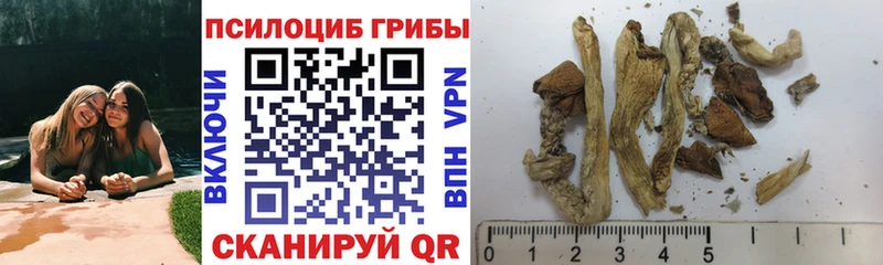 Галлюциногенные грибы мухоморы  купить наркотики сайты  Среднеколымск 